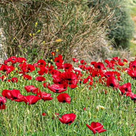 Androck Heaven Retreat Vila