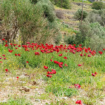 Androck Heaven Retreat Vila